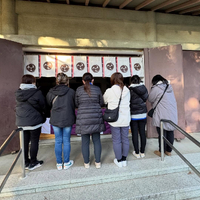 画像284