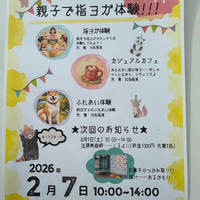 画像287