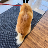 画像303