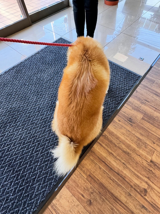 画像303
