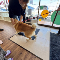 画像304
