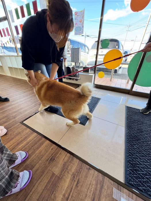 画像304