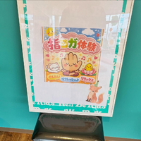 画像311
