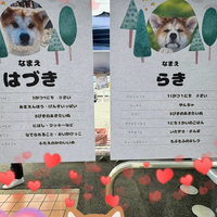 画像318