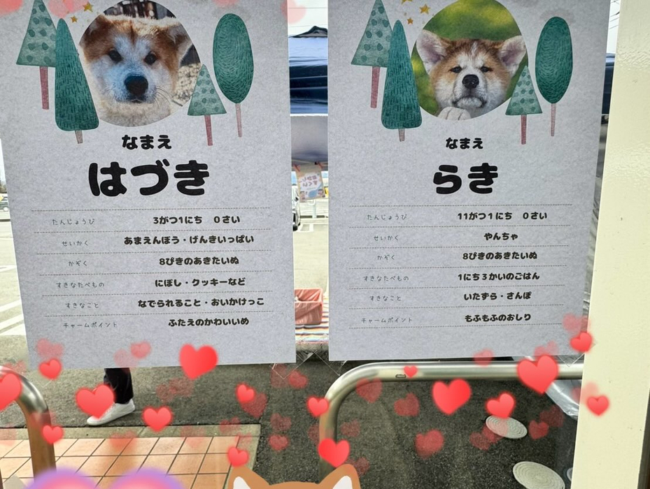 画像318