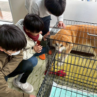画像319