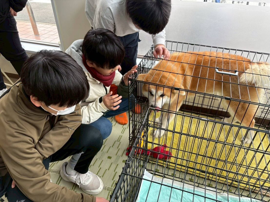 画像319