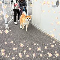 画像321
