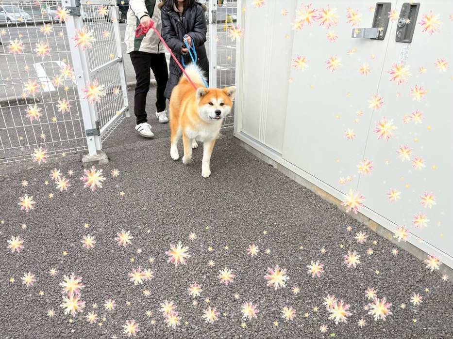画像321