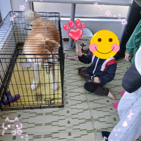 画像347