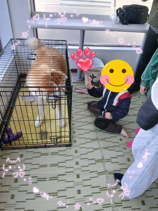 画像347