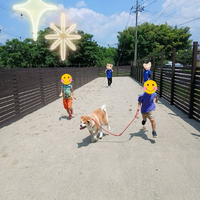 画像381