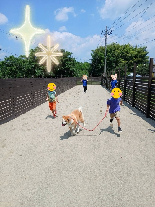 画像381