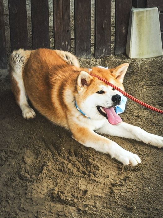 画像383